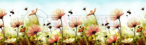 Гранд Фартук 42 Пчелки 600*3000мм Термоперевод.