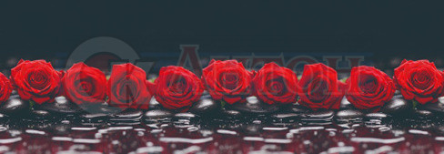 Гранд Фартук 45 Соблазн 600*3000мм Термоперевод.