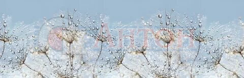 Гранд Фартук 47 Утренняя роса 600*3000мм Термоперевод.