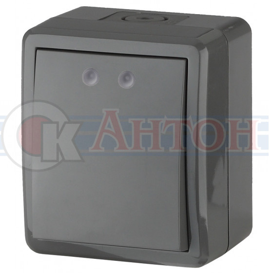 Выключатель 1-кл Эра Экспер ОУ IP54 серый 11-1401-03