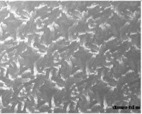 Р 13 D&B Пленка с/к 45х8m витраж