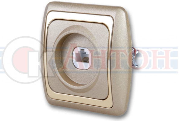 Розетка Дельта  крем/золото компьютерная