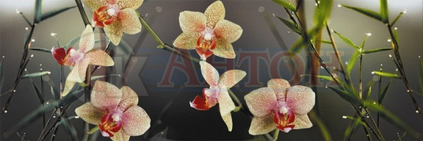 КУХОННЫЙ ФАРТУК двп "Орхидея"  0,695 х 2,07