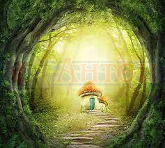 Фотопанно А2-029 Грибок 300*270