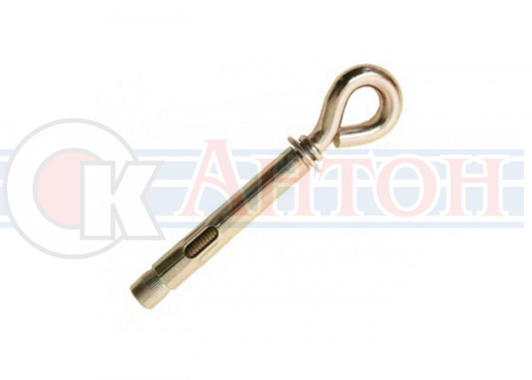 Анкер болт 10*60 с кольцом 