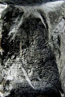 Флоки черный 9/193 50г