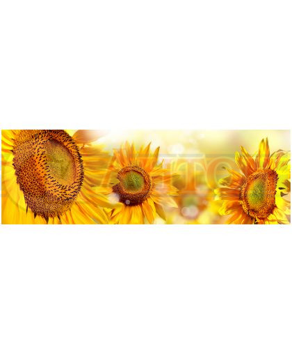 КУХОННЫЙ ФАРТУК двп Подсолнухи 0,695 х 2,07х4мм.